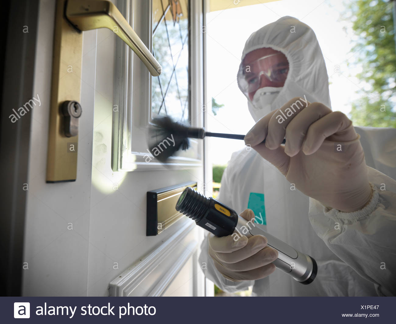 Crime Scene Investigation Forensic People High Resolution Stock