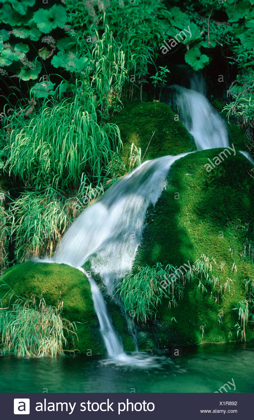 Waterfall Plitvice Lakes National Parks Croatia Wasserfall Nationalpark Plitvicer Seen Kroatien Europa Europe Stock Photo Alamy