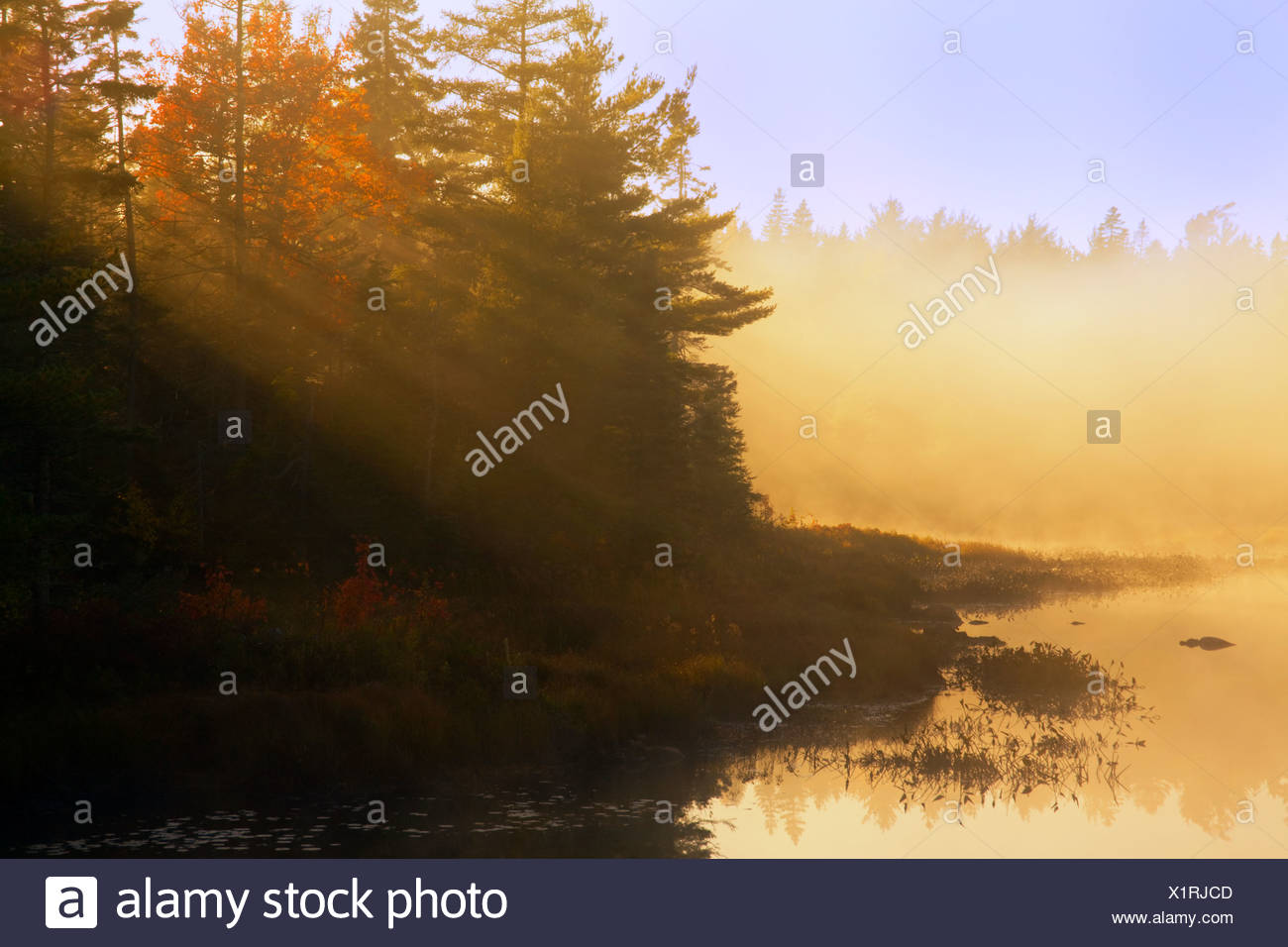 Mist At Sunrise Soldier Lake Nova Scotia Stock Photo - 
