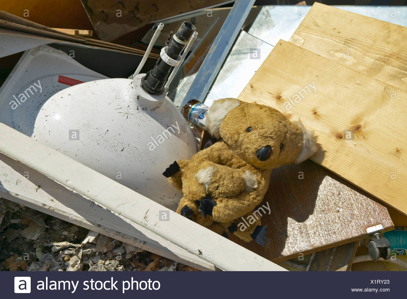 rubble teddy bear