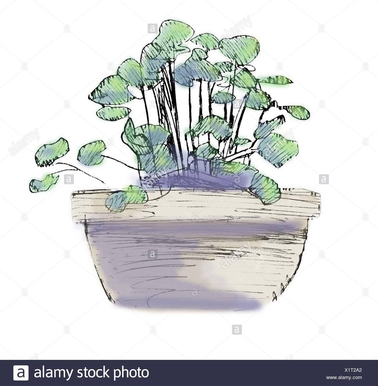 Flower Pot Drawing Sketch High Resolution Stock Photography And Images Alamy