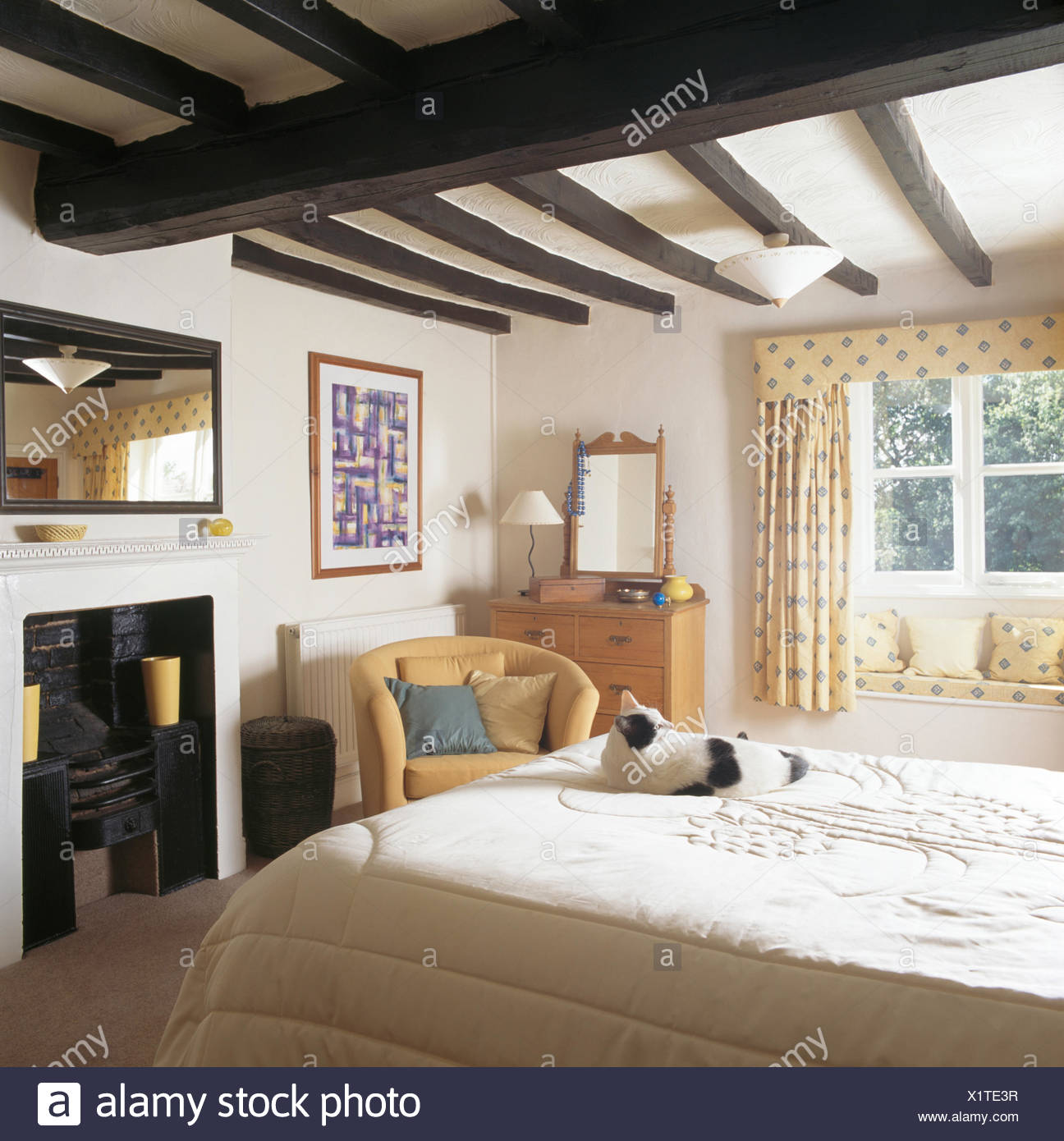 Black White Cat Sitting On On Bed In Cottage Bedroom With Black
