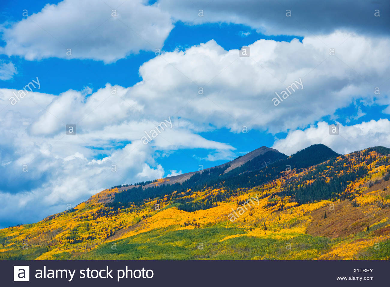 Mcclure Pass Colorado Stock Photos & Mcclure Pass Colorado Stock Images