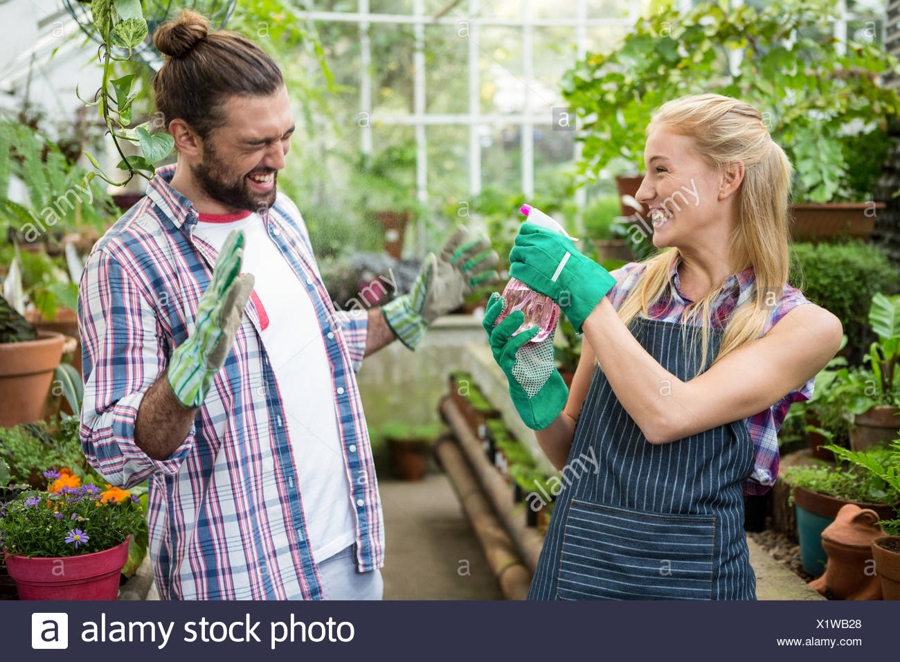 Cheerful gardener spraying water on colleague at greenhouse Stock Photo