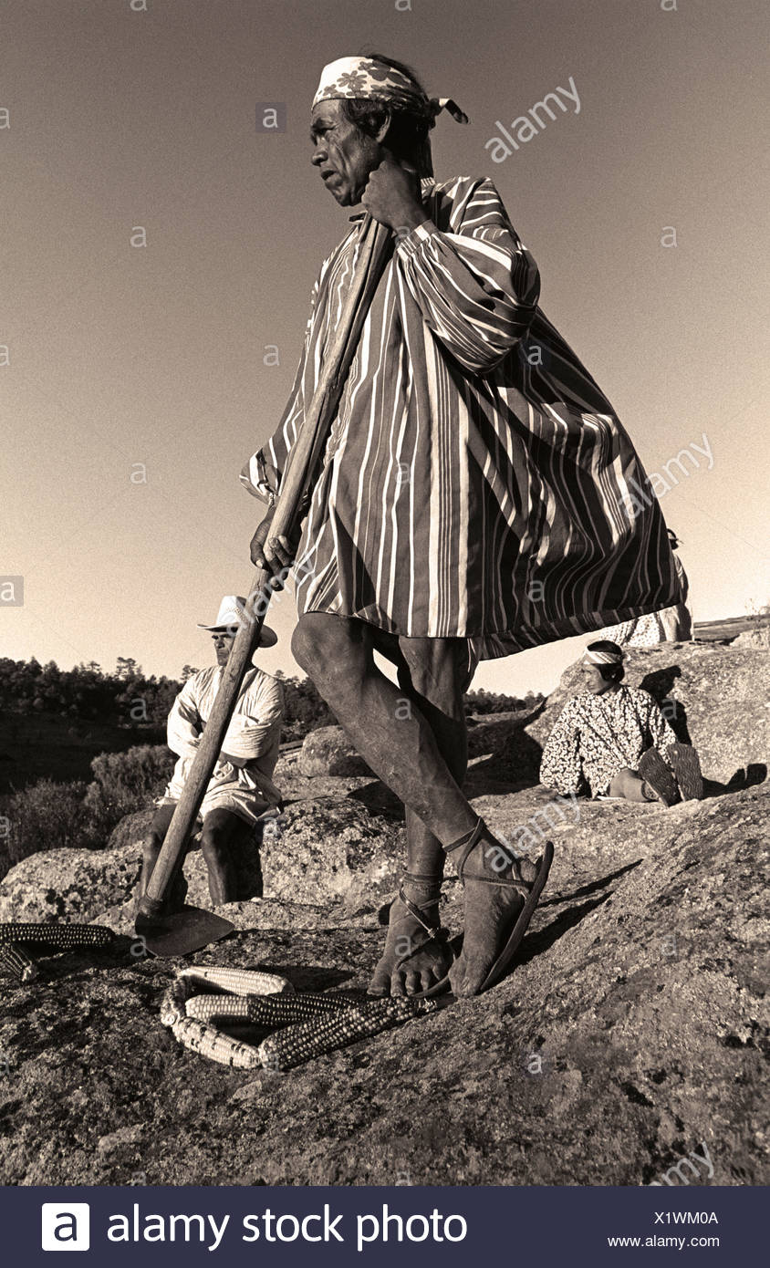 A Tarahumara Indian In Chihuahua Mexico Stock Photo Alamy A Tarahumara Indian In Chihuahua Mexico Stock Photo Alamy