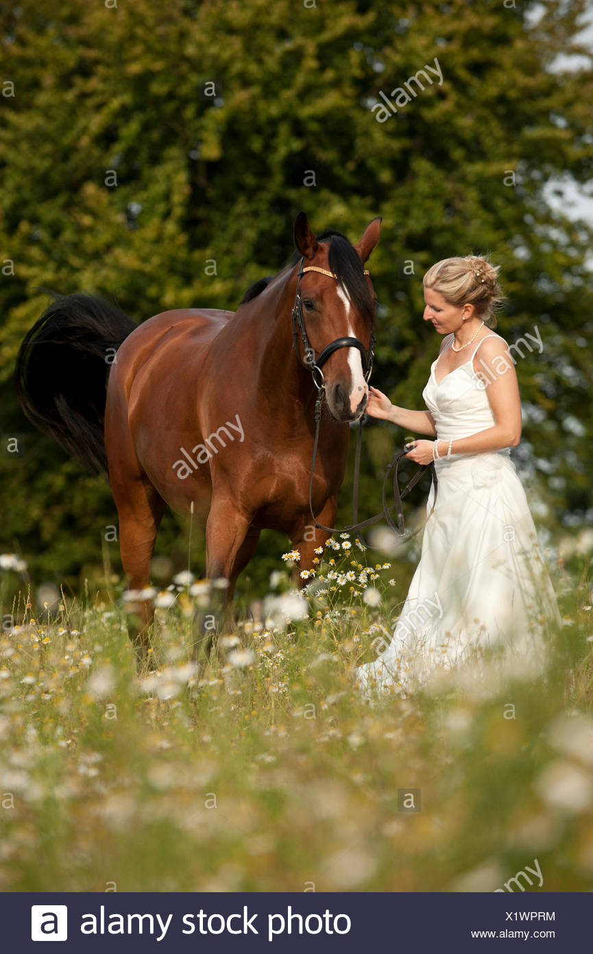 Woman Wearing A Wedding Dress With A Hanoverian Horse In A Meadow