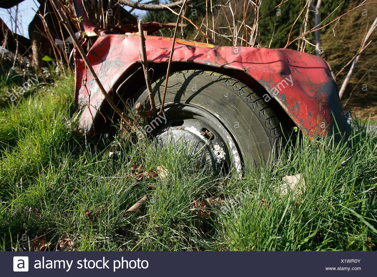 Old Volkswagen beetle overgrown by plants Stock Photo
