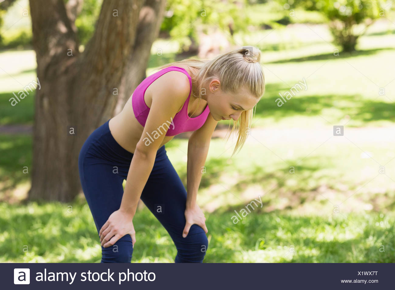 jog bra