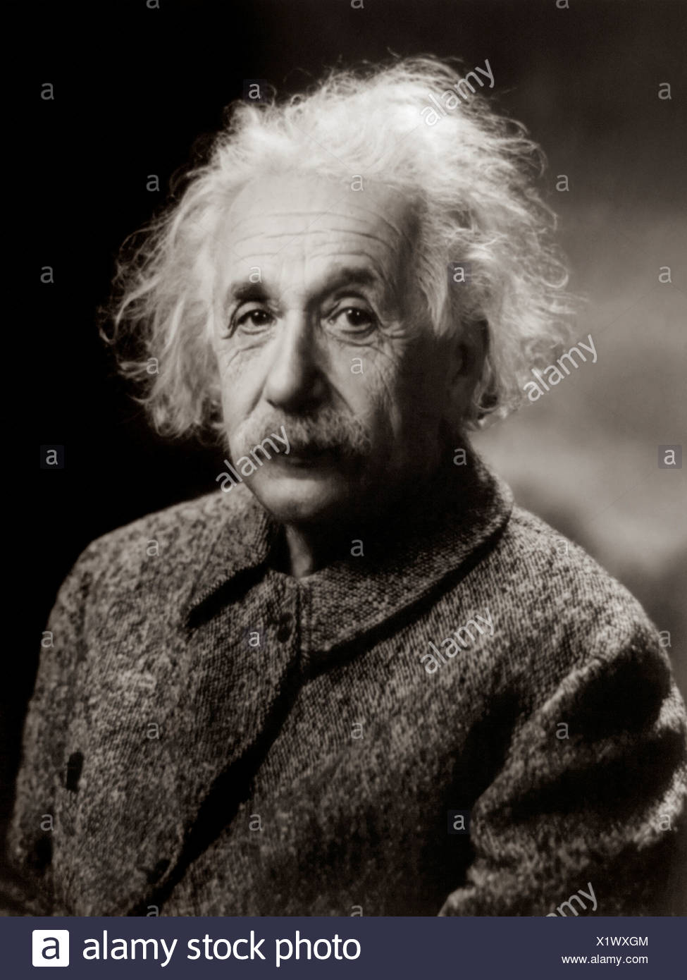 Albert Einstein Portrait High Resolution Stock Photography and Images ...