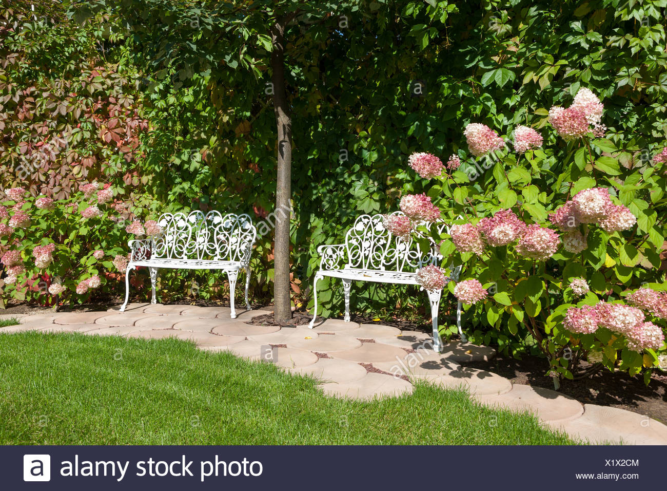 White Garden Benches Stock Photo 276553220 Alamy