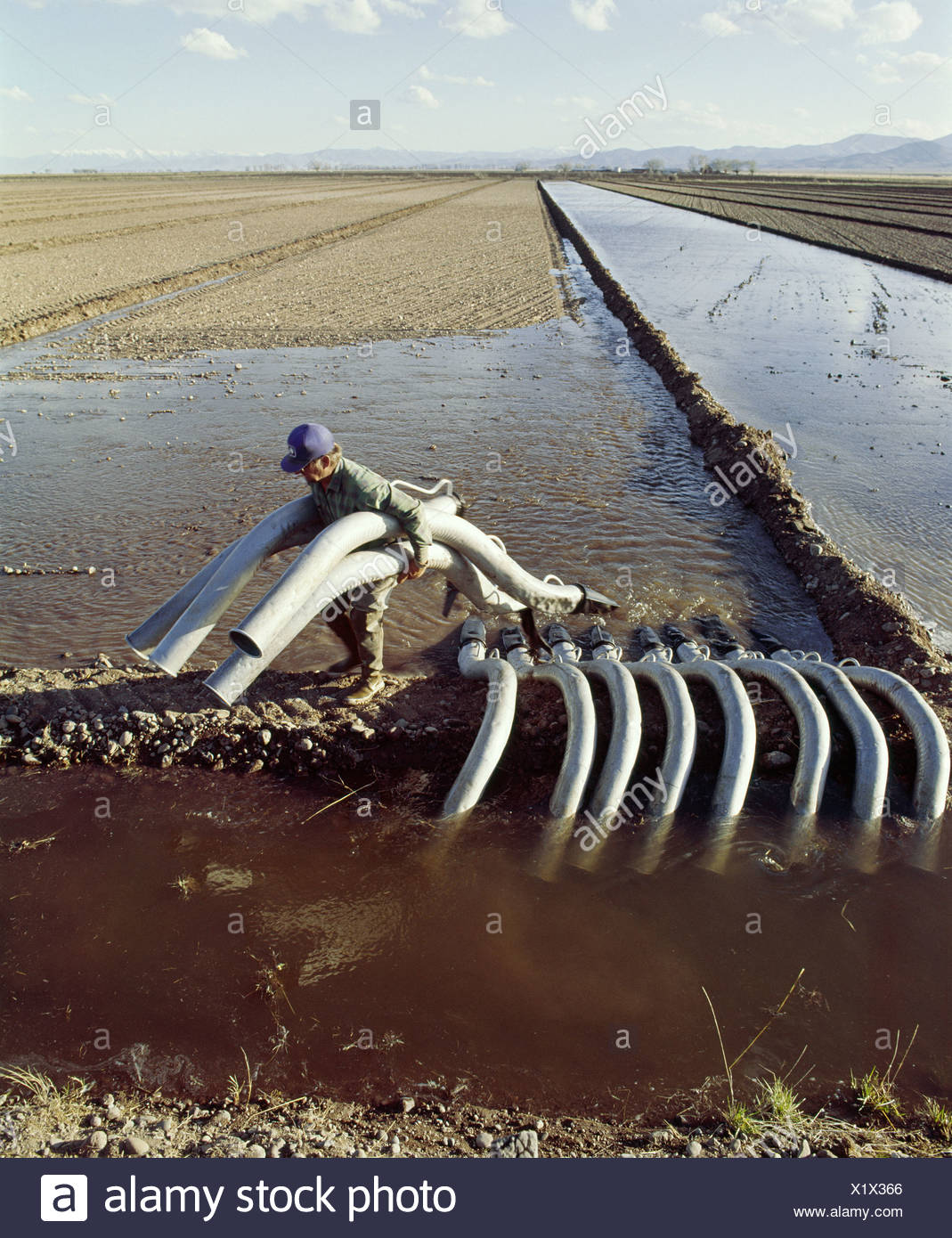 Flood Irrigation High Resolution Stock Photography and Images Alamy