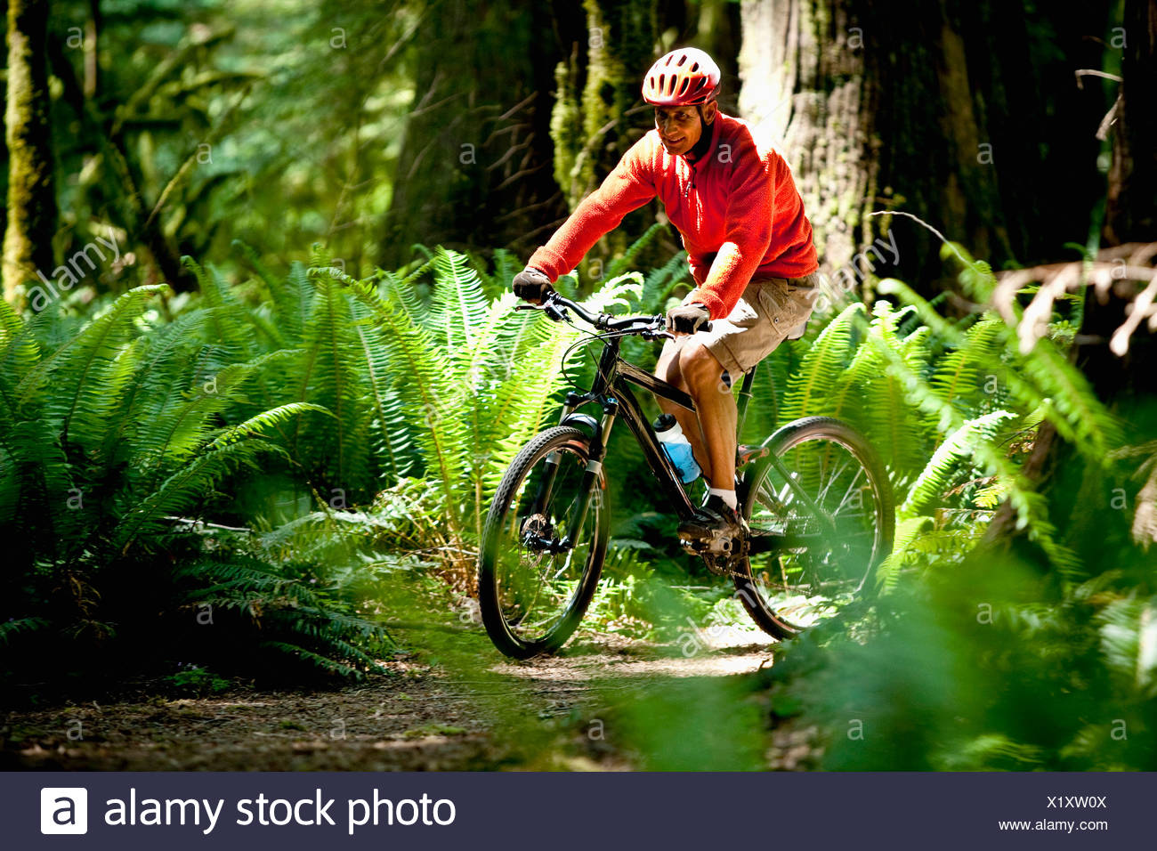 mountain biking rain