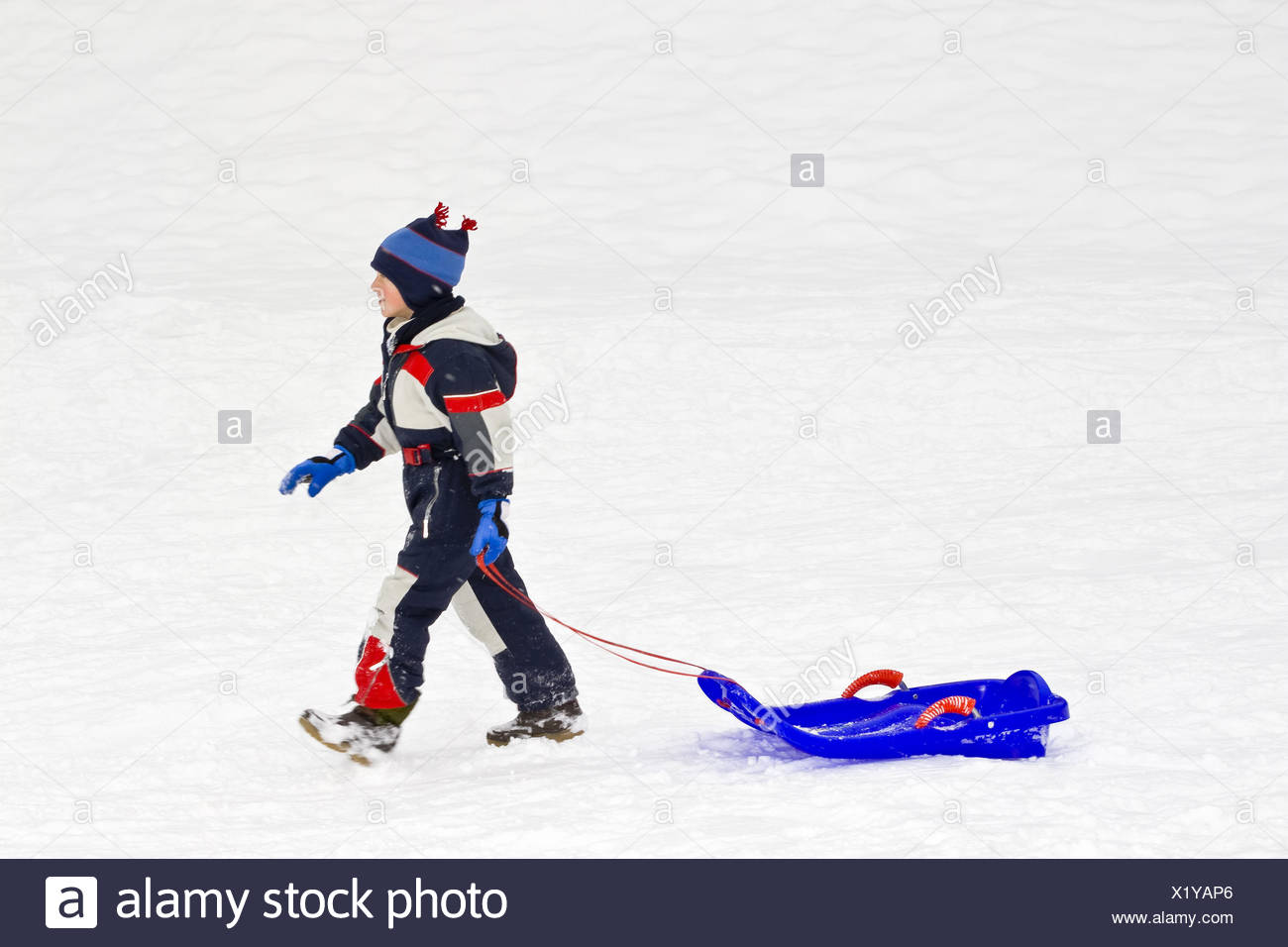 A Boy 6 Years In The Snow Suit With The Sledge Bob Drag Go
