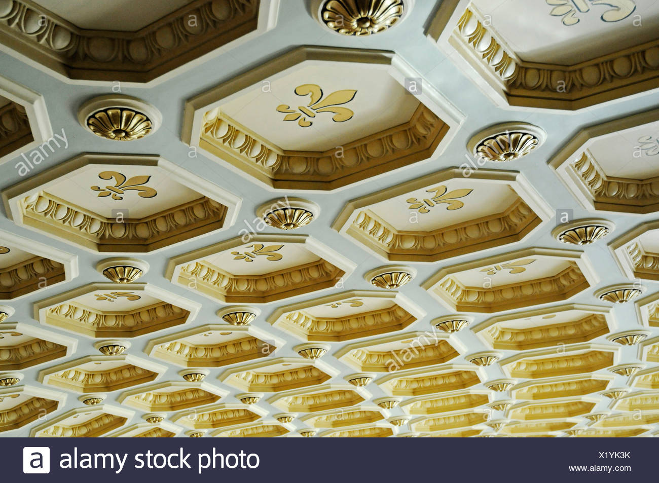 Ornate Ceiling Panels Romanian Athenaeum Philharmonic Hall