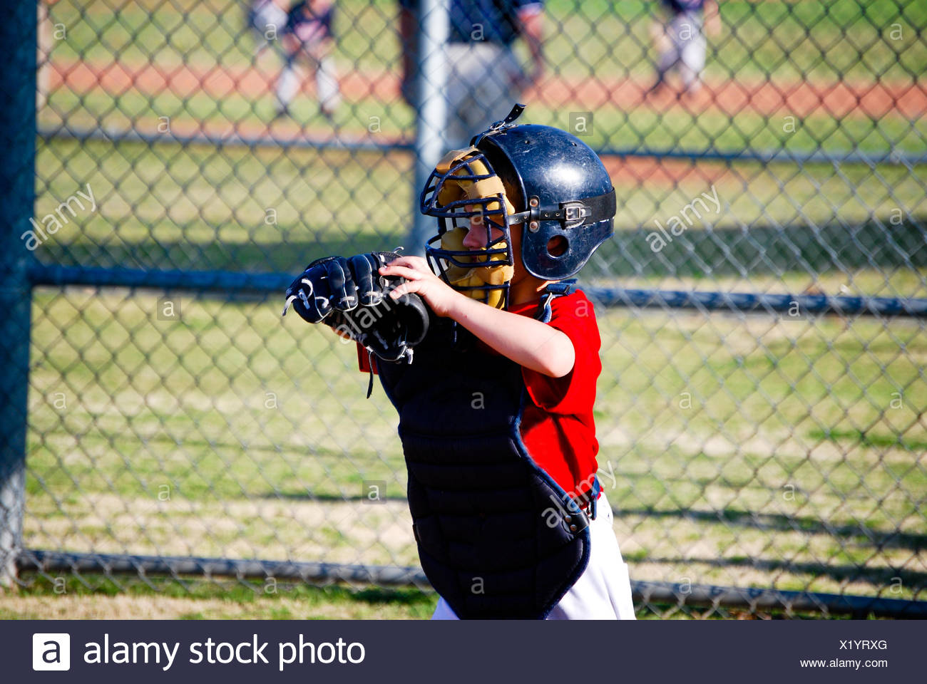 Little League Baseball Catcher Stock Photos & Little League Baseball