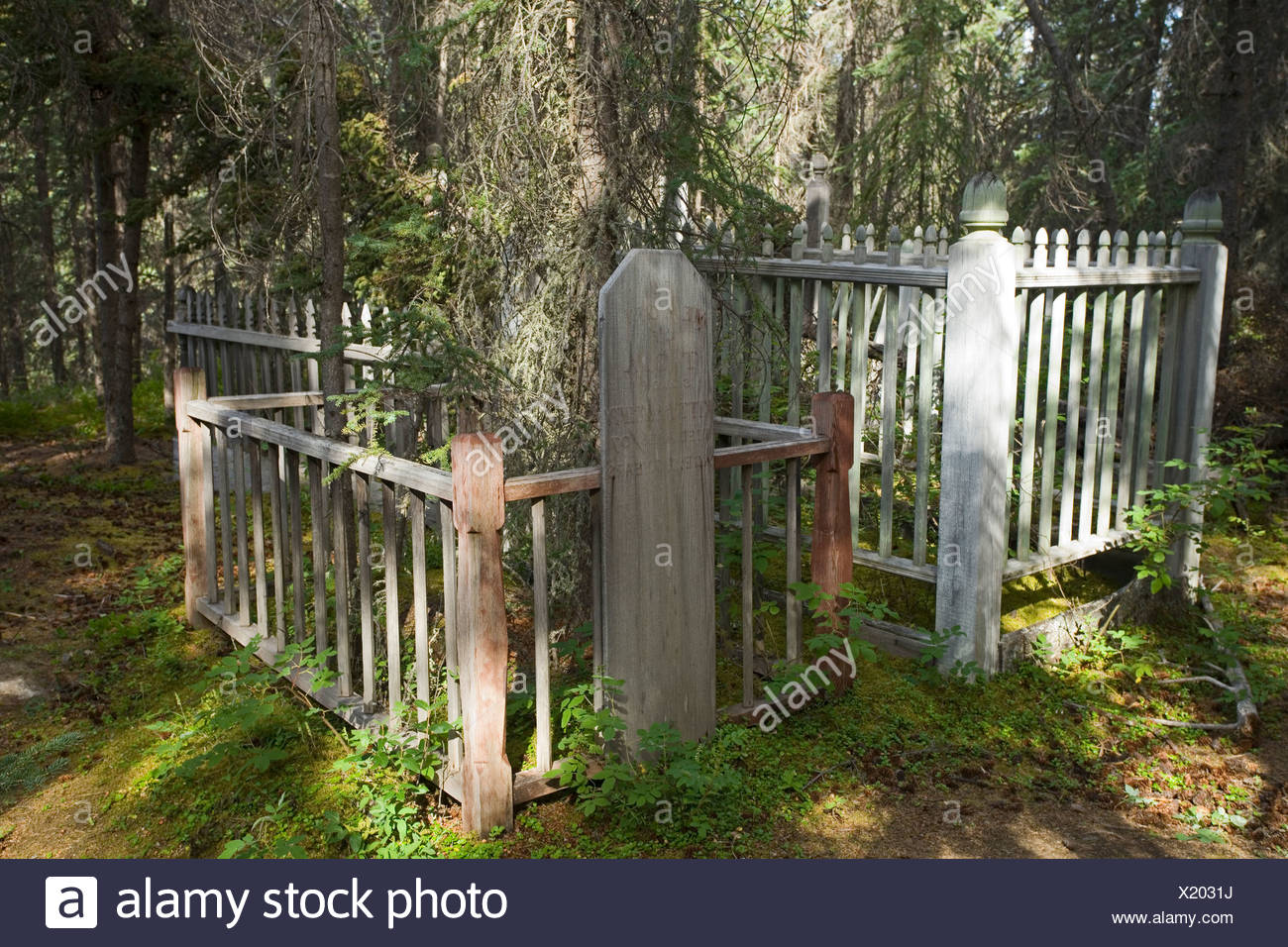 Indian Gold Rush High Resolution Stock Photography and Images - Alamy