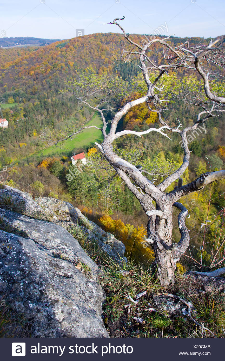 skalni step U Krize, Svaty Jan pod Skalou, Cesky kras, Ceska republika  Stock Photo - Alamy