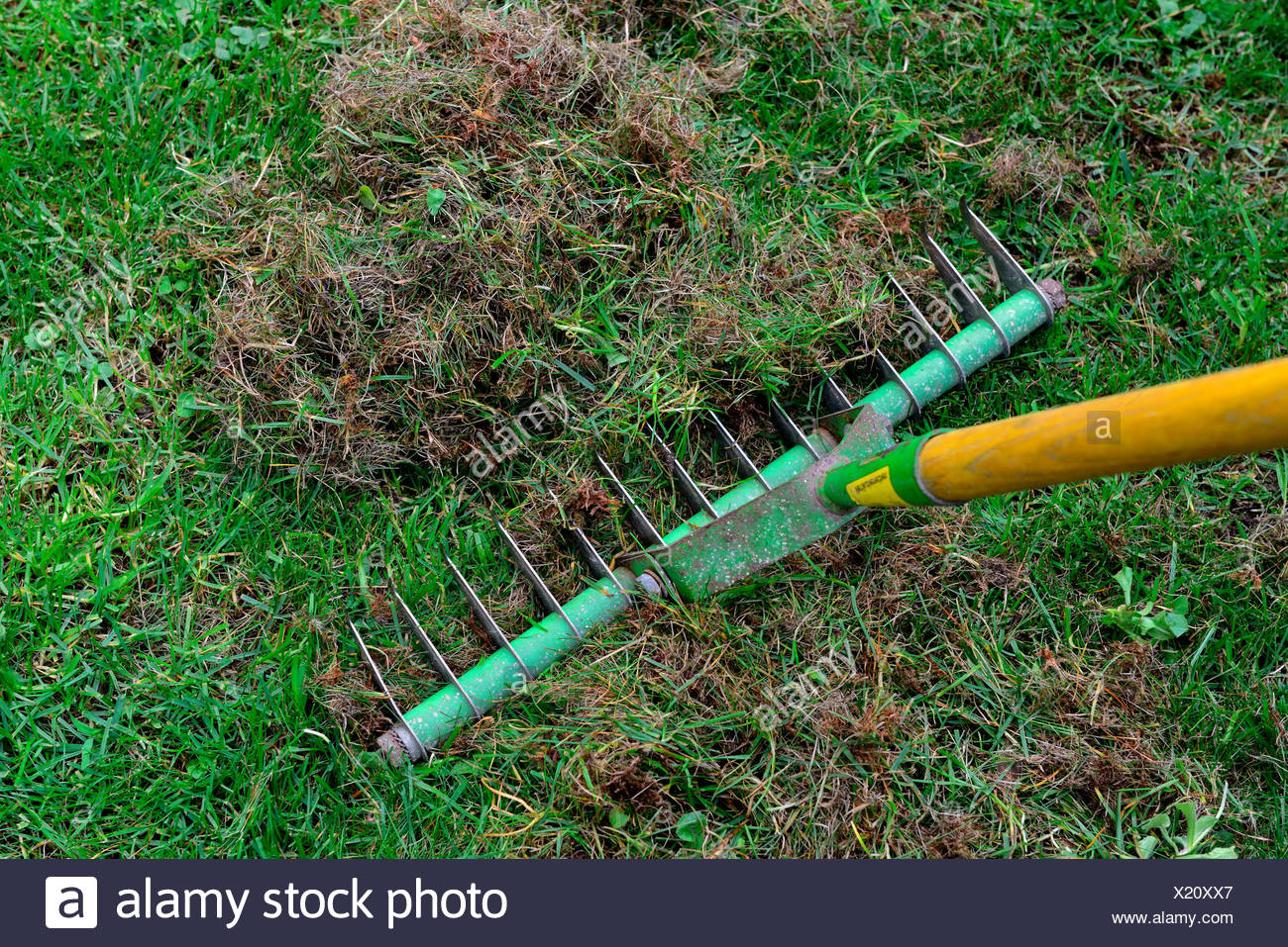 How To Get Rid Of Dead Grass - Walmart.com has been visited by 1m+ users in the past month