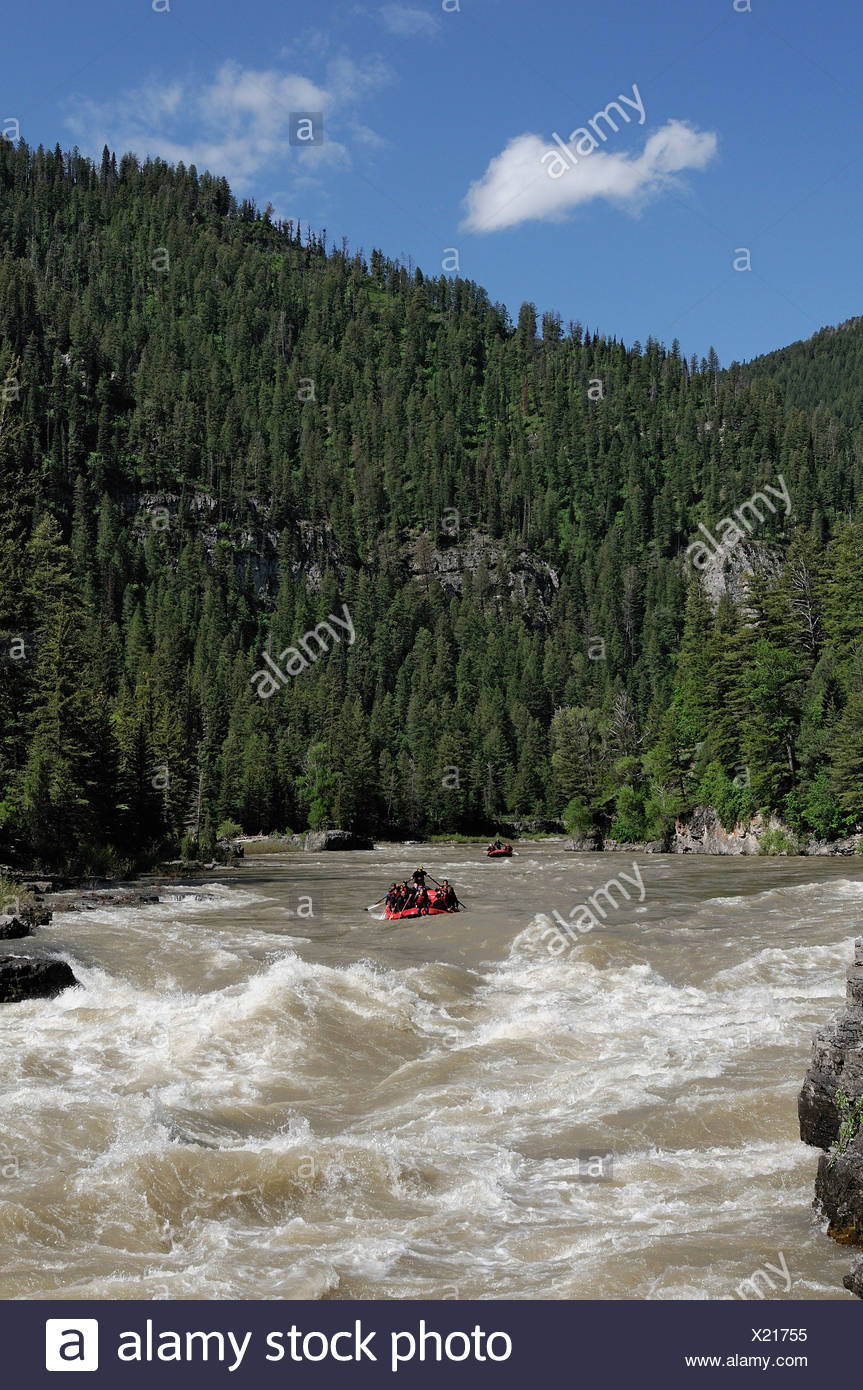 Snake River Wyoming Rafting Stock Photos & Snake River Wyoming Rafting