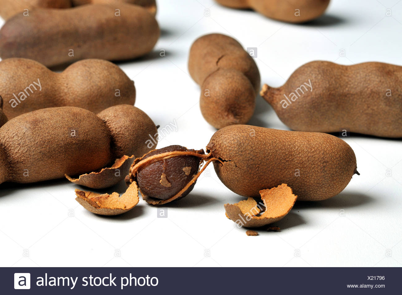 Tamarind Tamarindus Indica Raw Tamarind Fruits Stock Photo Alamy