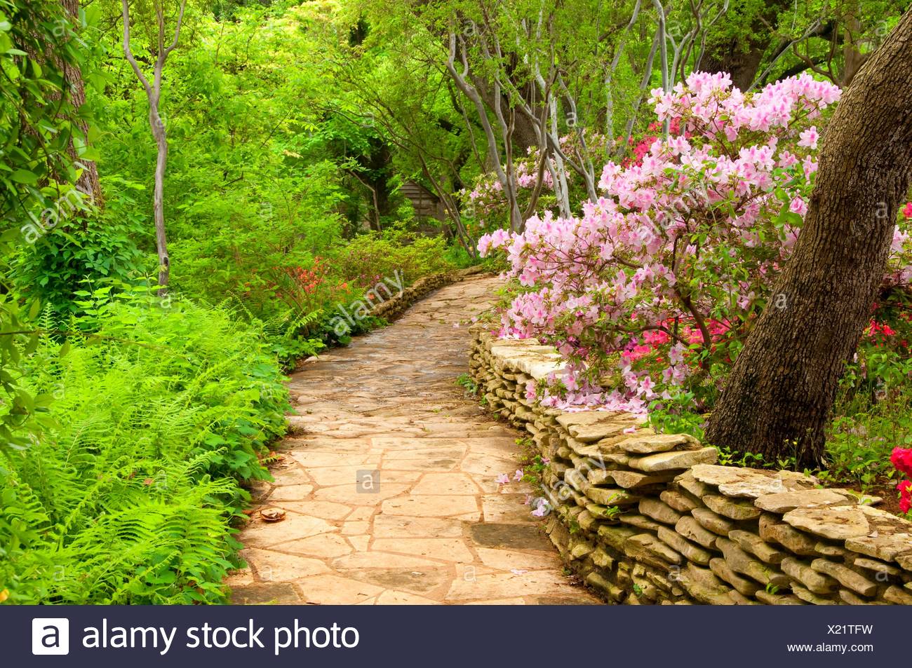 Garden Path Zilker Botanical Garden Austin Texas Stock Photo