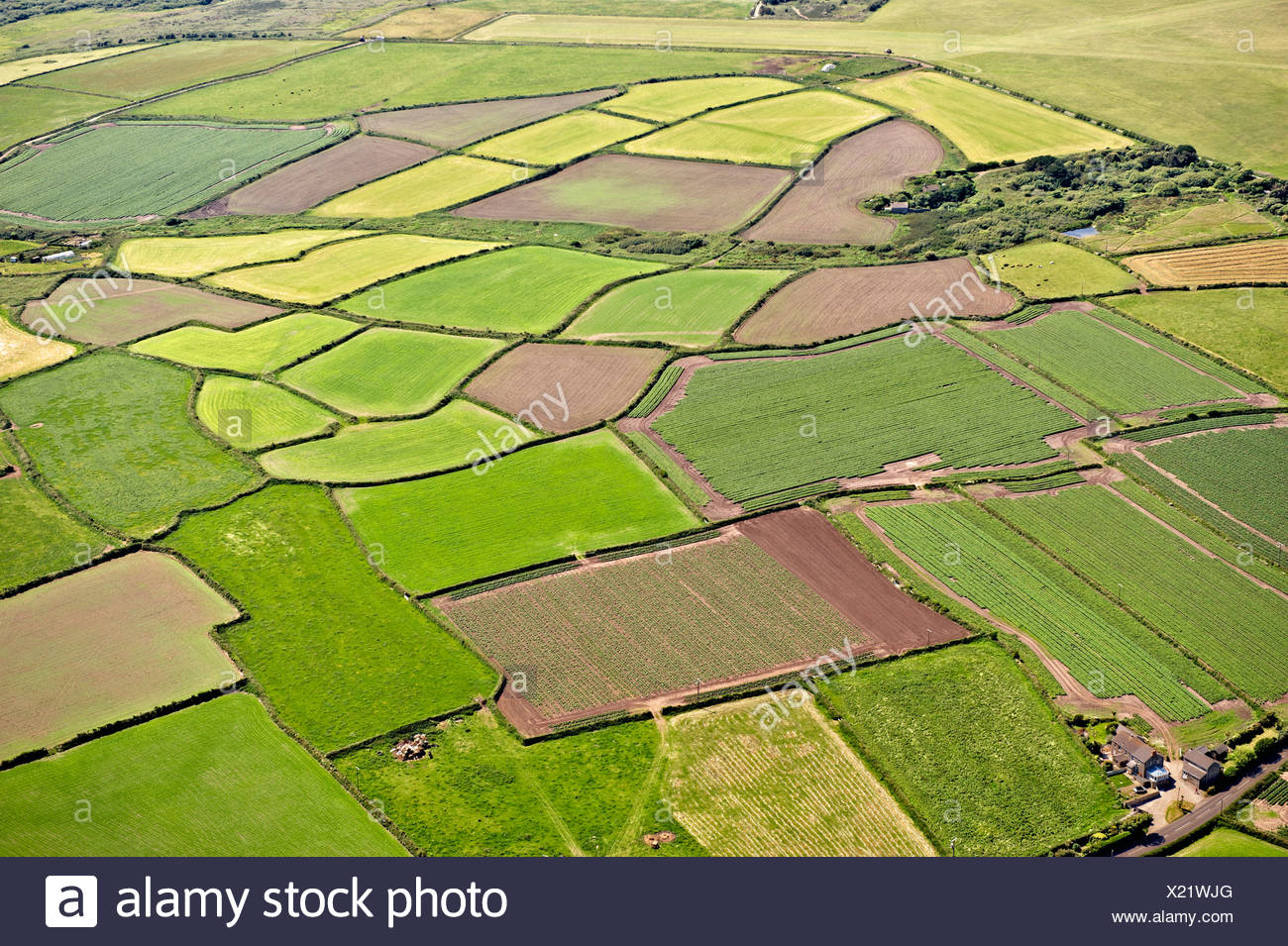 Birds Eye View Fields Agricultural Stock Photos & Birds Eye View Fields
