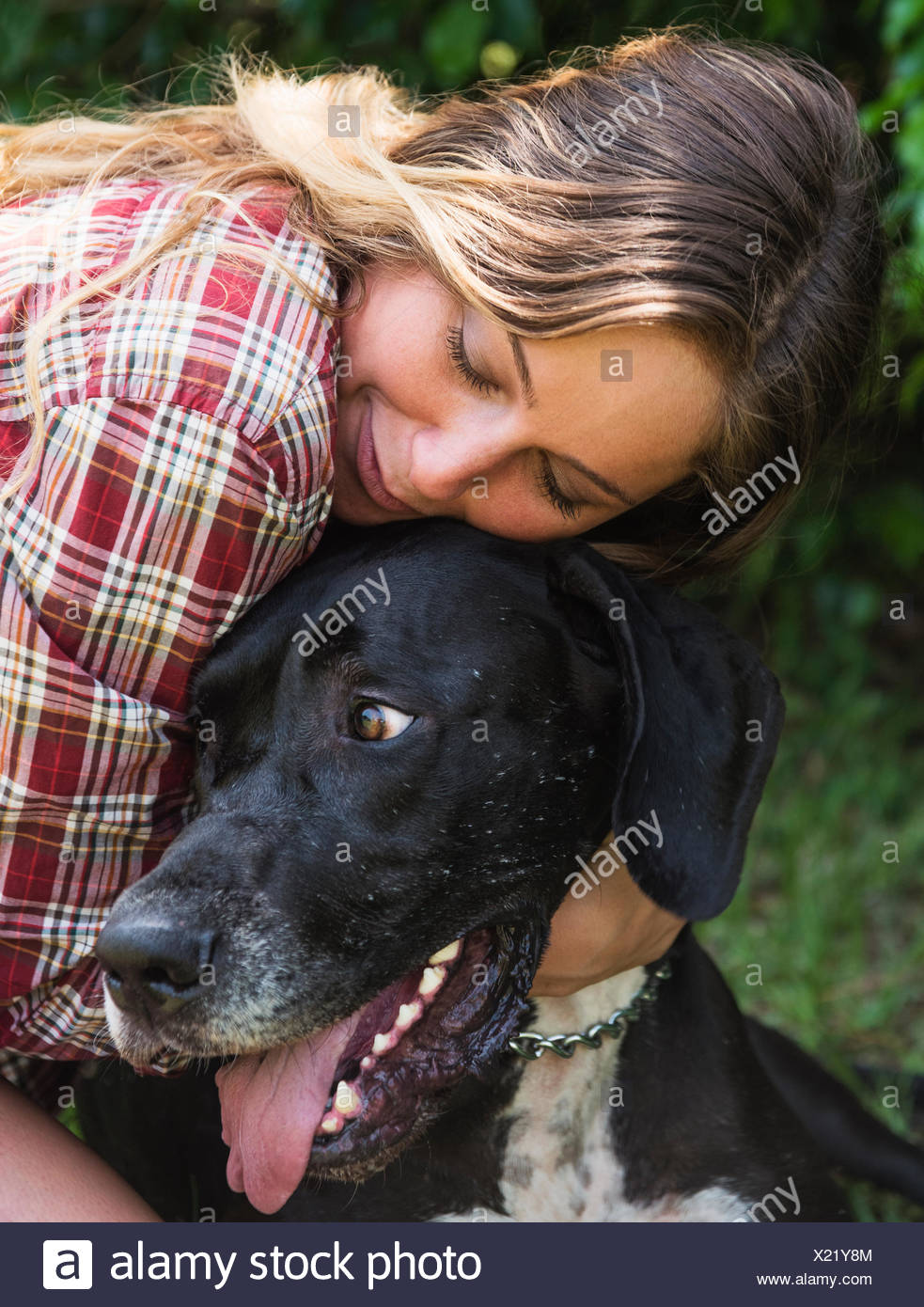 Woman Great Dane High Resolution Stock Photography and Images - Alamy