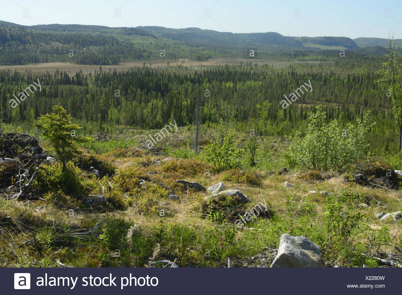 Dorotea Kommun High Resolution Stock Photography and Images - Alamy