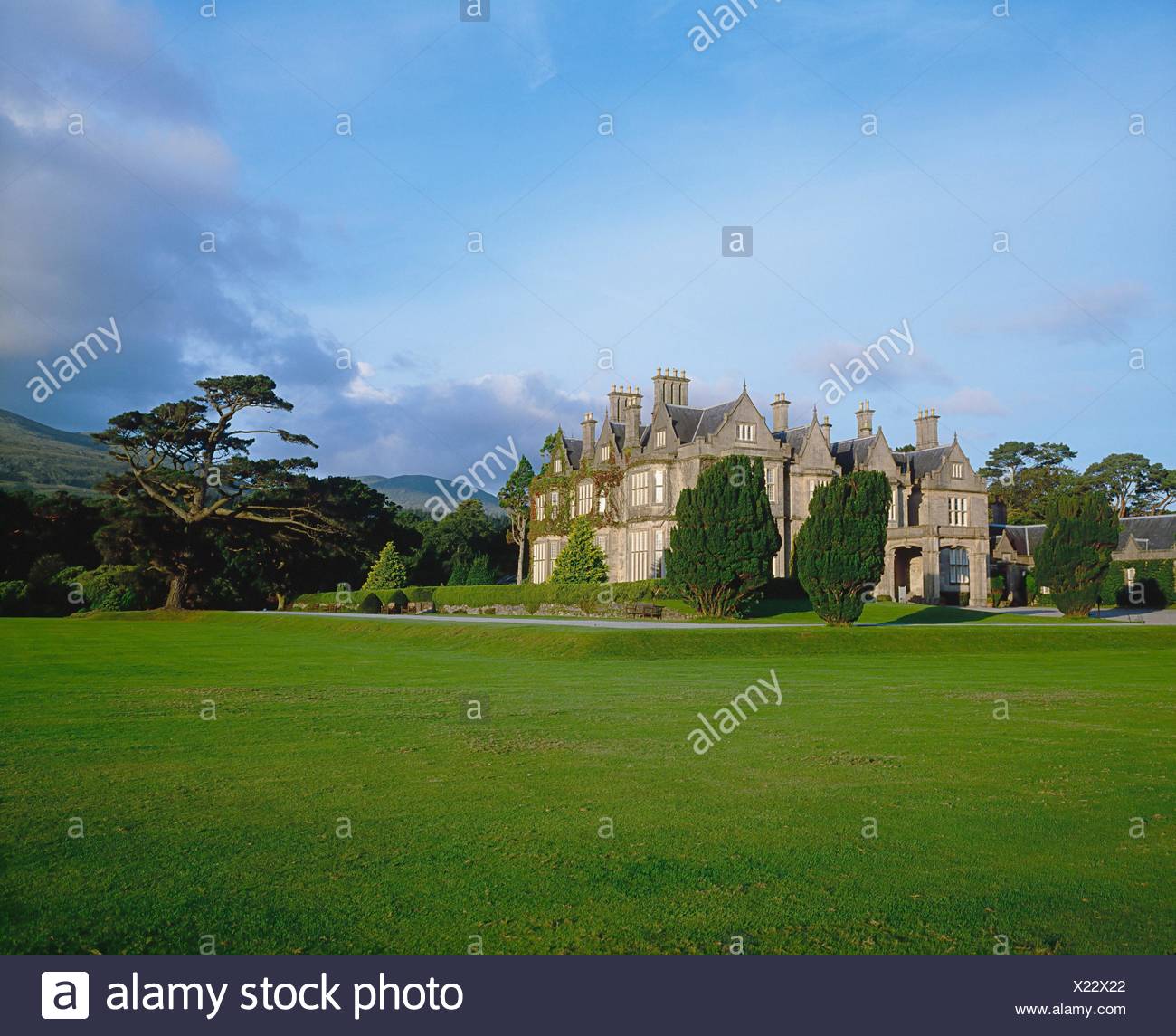 Co Tutor Stock Photos Co Tutor Stock Images Alamy