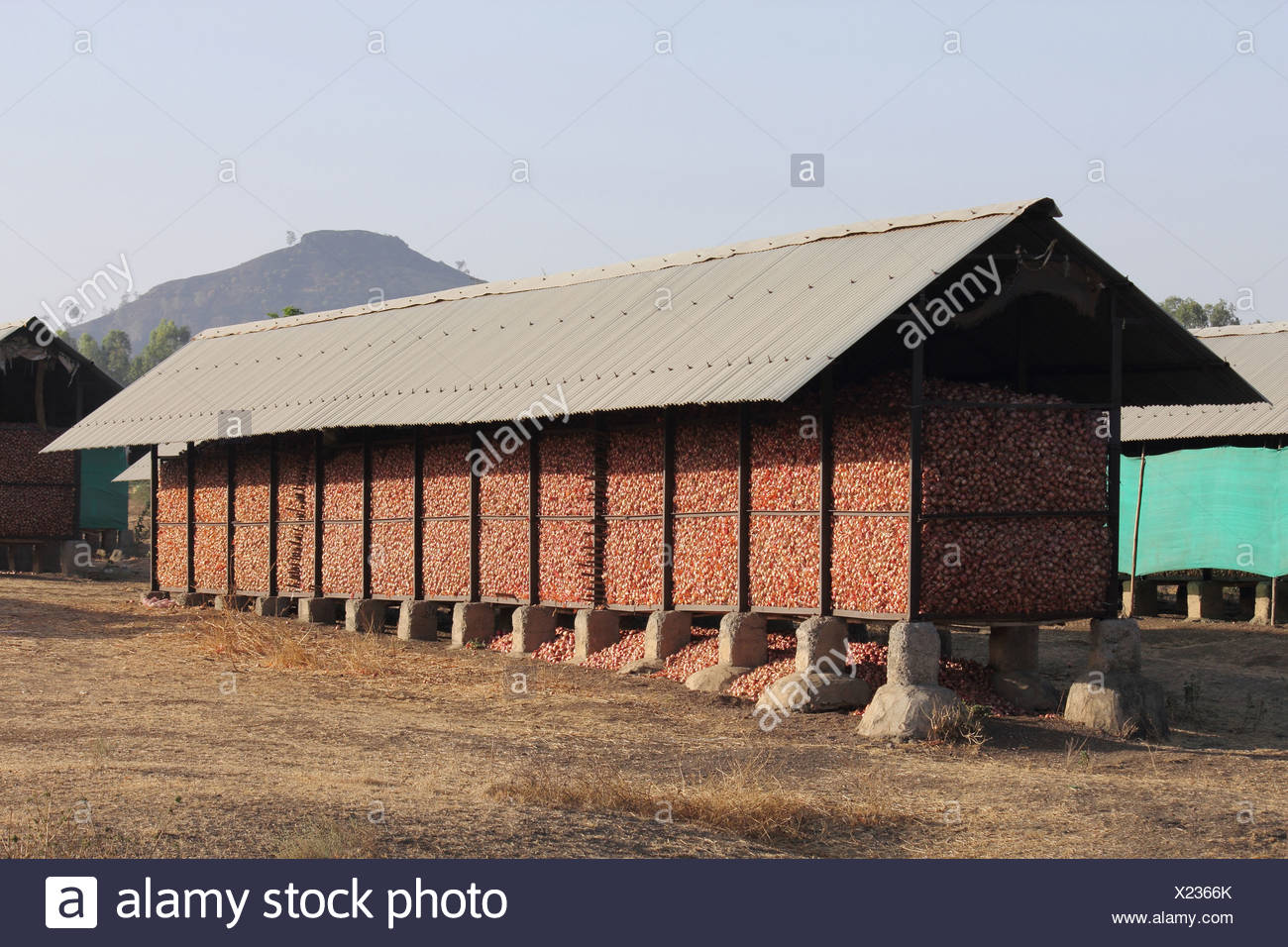 Onion Storage Stock Photos & Onion Storage Stock Images Alamy