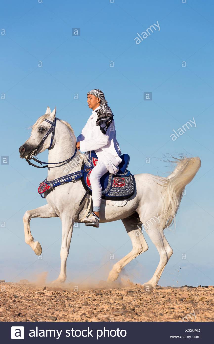 Vices High Resolution Stock Photography and Images Alamy