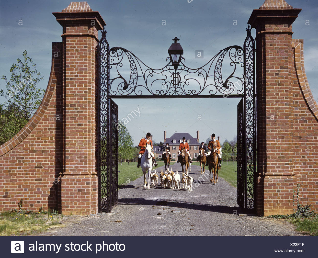 Virginia Fox Stock Photos & Virginia Fox Stock Images Alamy