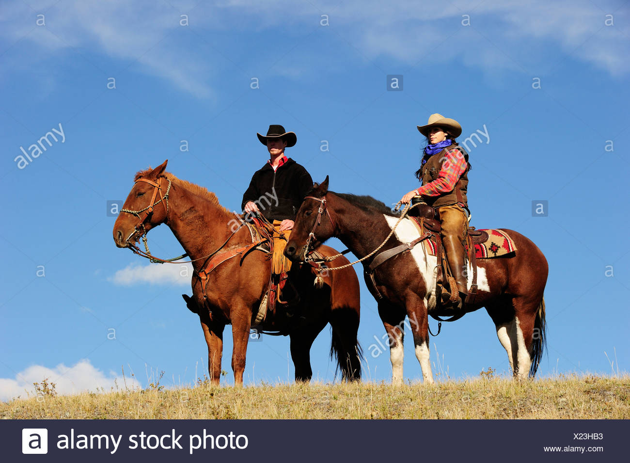 Cowgirl and cowboy on horses looking into the distance, Saskatchewan, Canada, North America Stock Photo