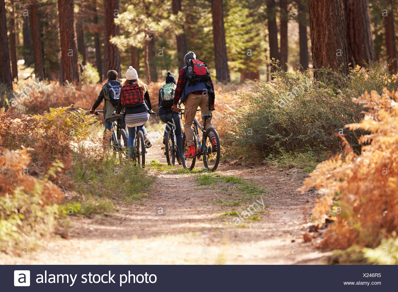 Group Of Friends Riding Bikes On A Forest Trail Back View Group Of Friends Riding Bikes On A Forest Trail Back View