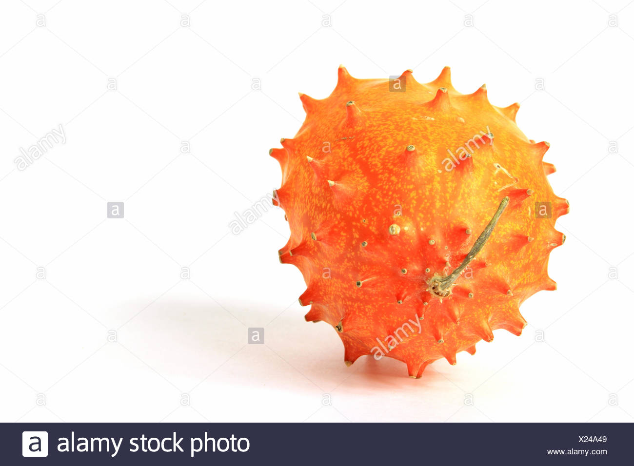 Thorn Melon Stock Photos & Thorn Melon Stock Images Alamy