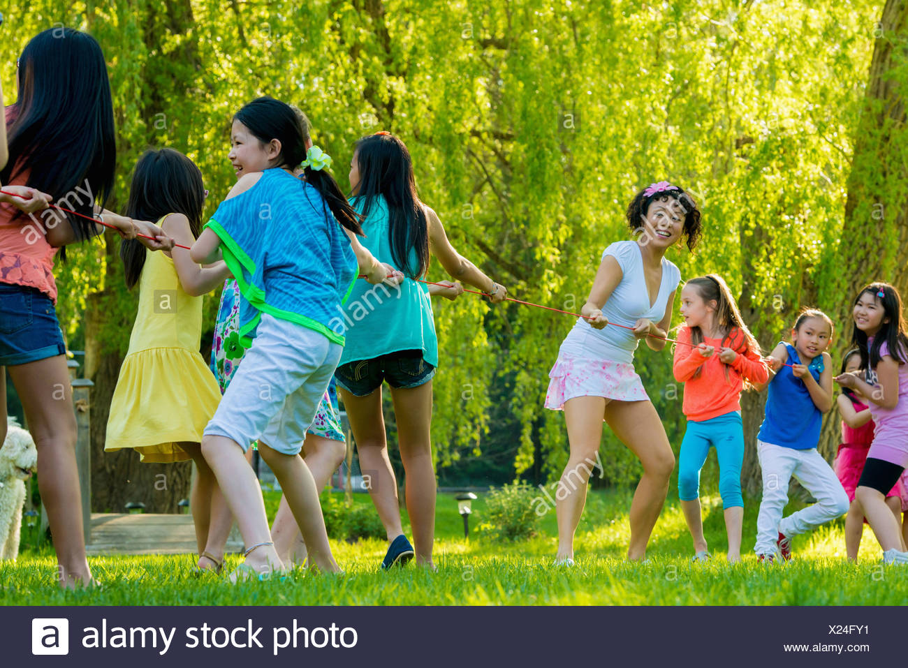Tug Of War High Resolution Stock Photography and Images - Alamy