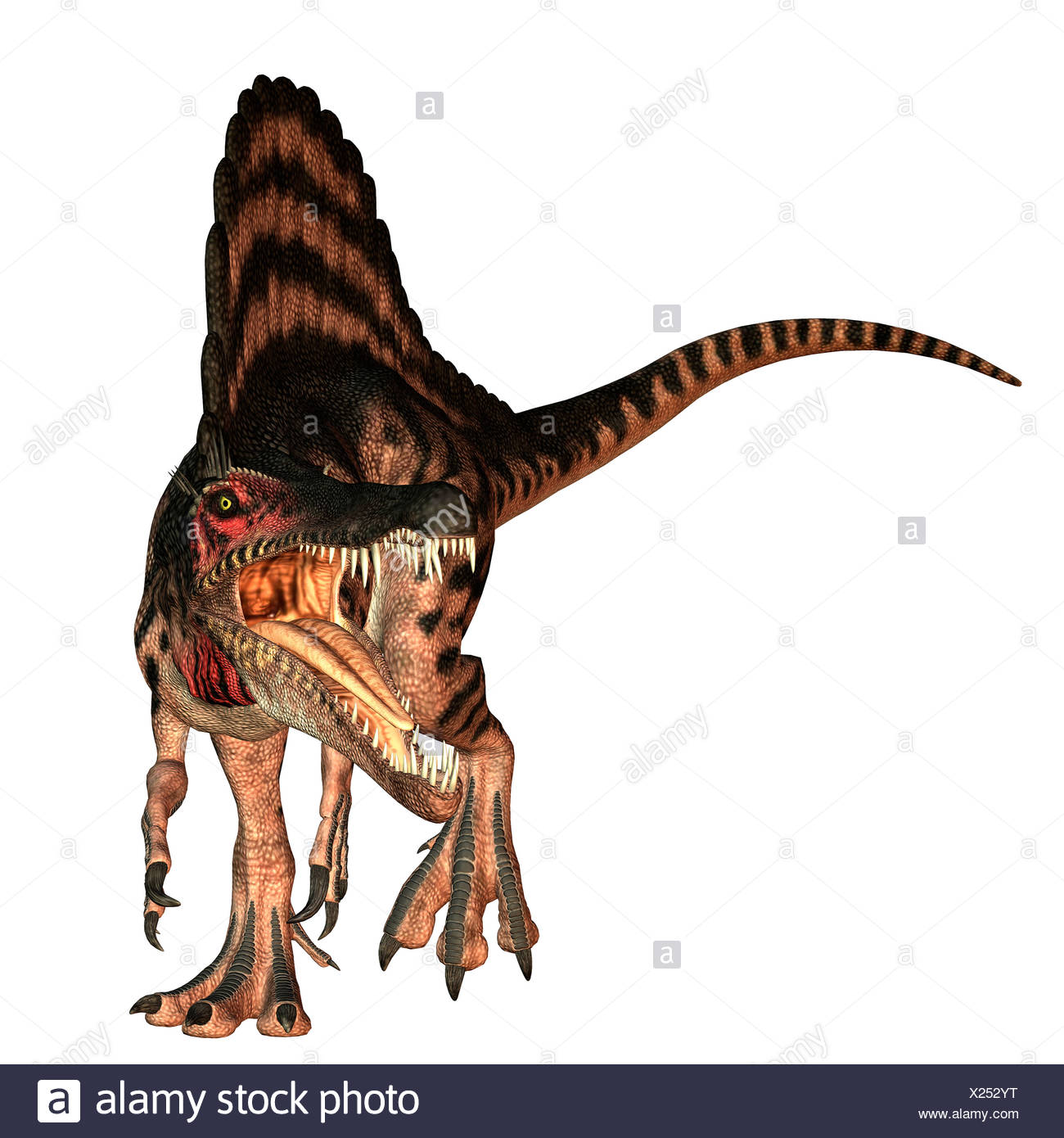 Spinosaurus High Resolution Stock Photography and Images - Alamy