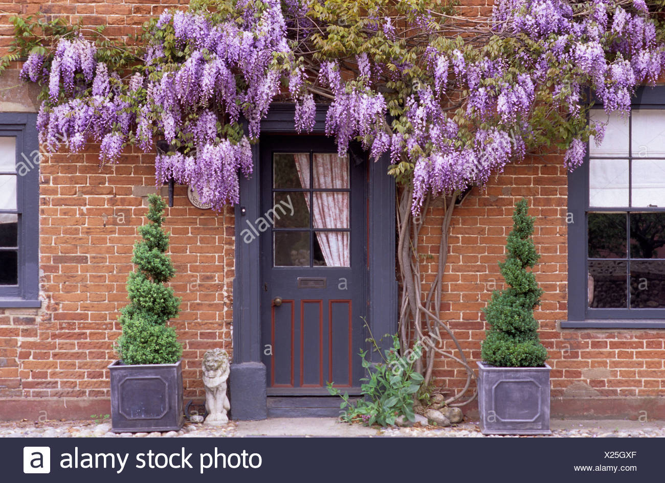 Front Door With Purple Flowered Wisteria House Front