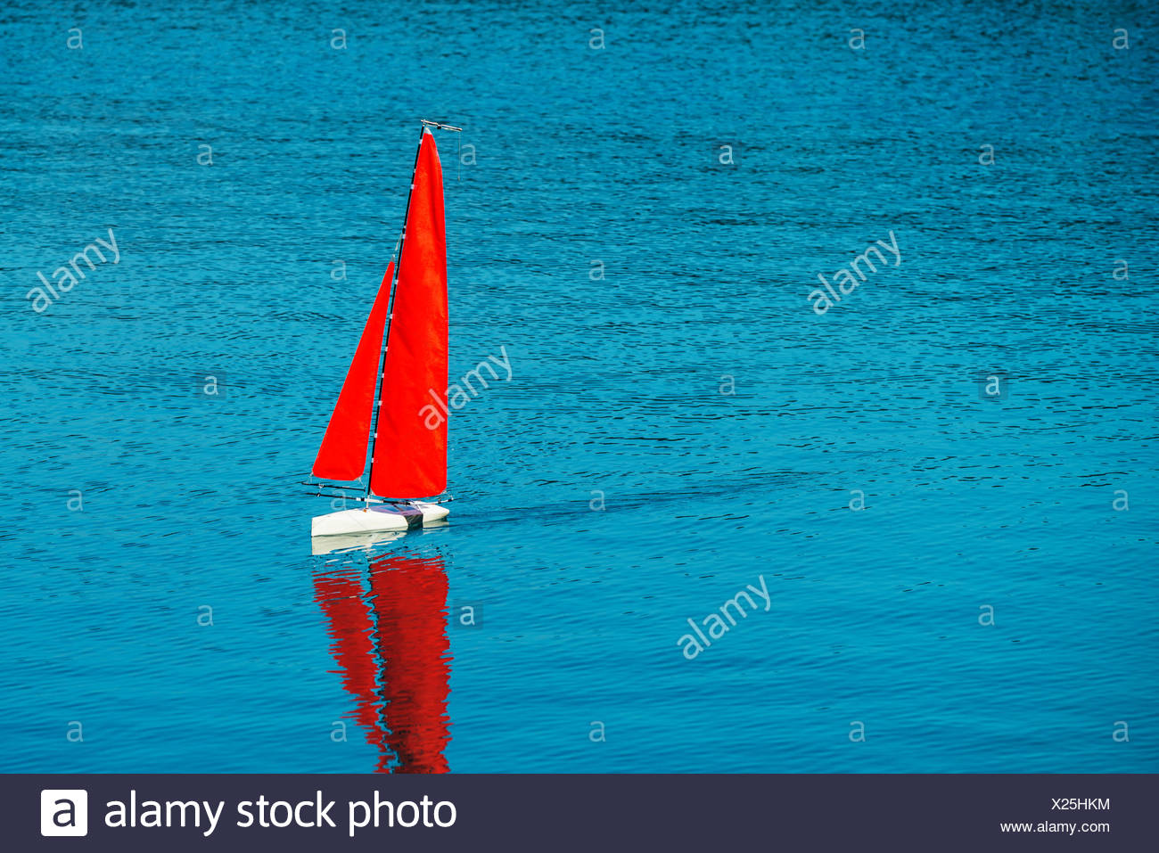 remote control sailing yacht