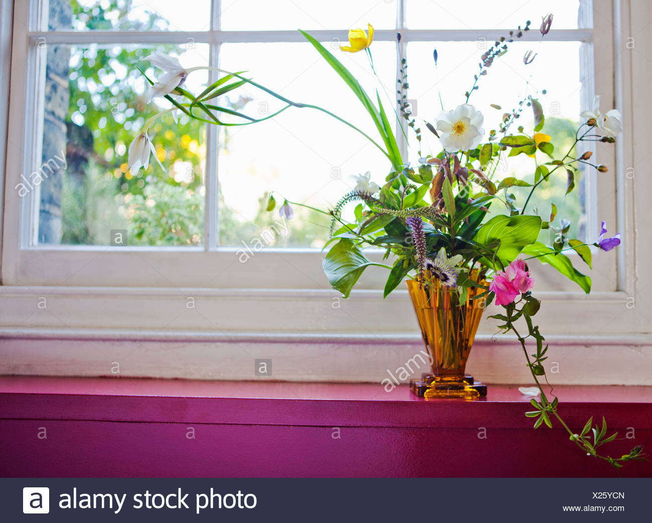 Window With Flower Vase High Resolution Stock Photography And Images Alamy