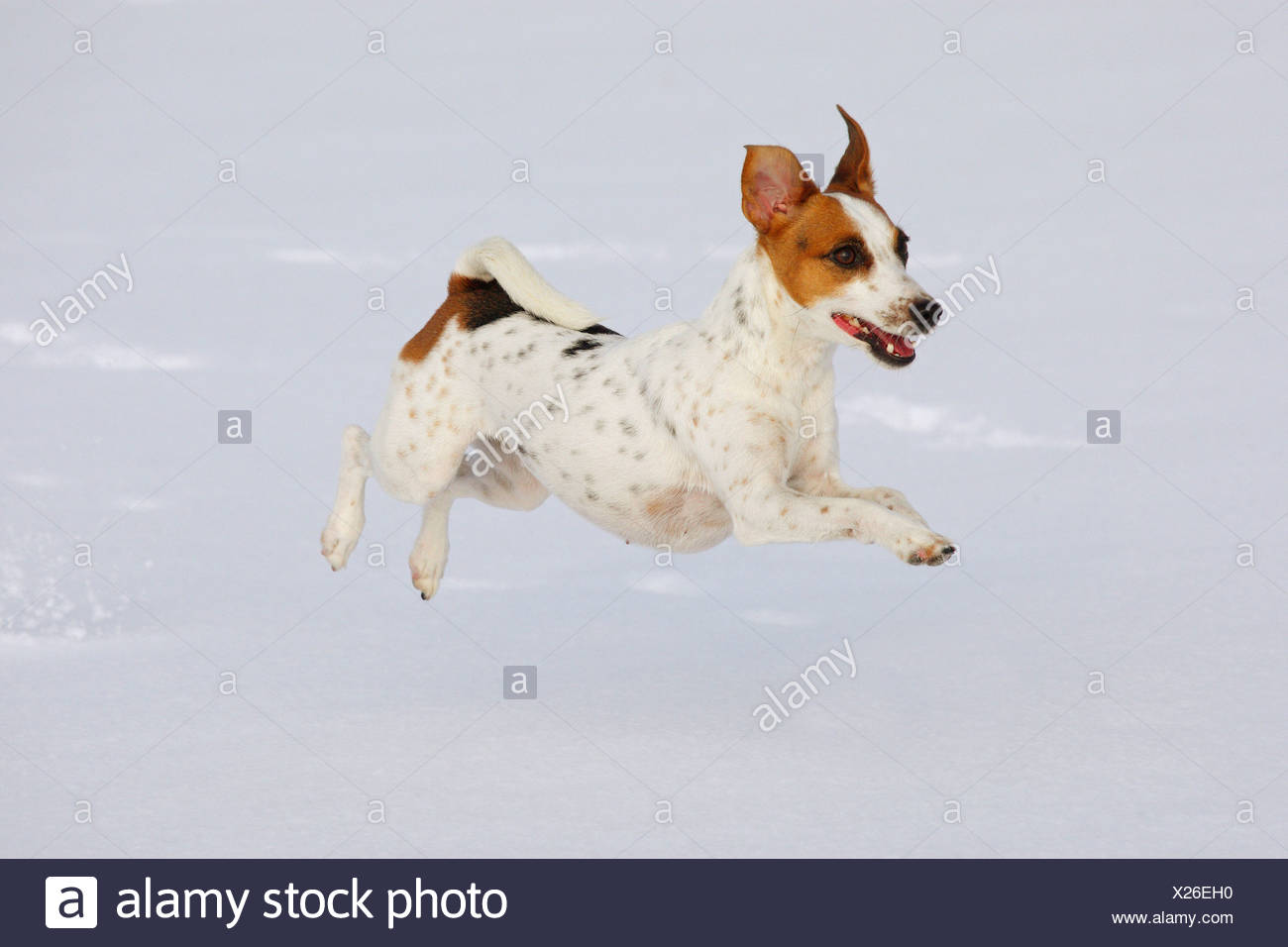 Russell Winter Stock Photos Russell Winter Stock Images Alamy