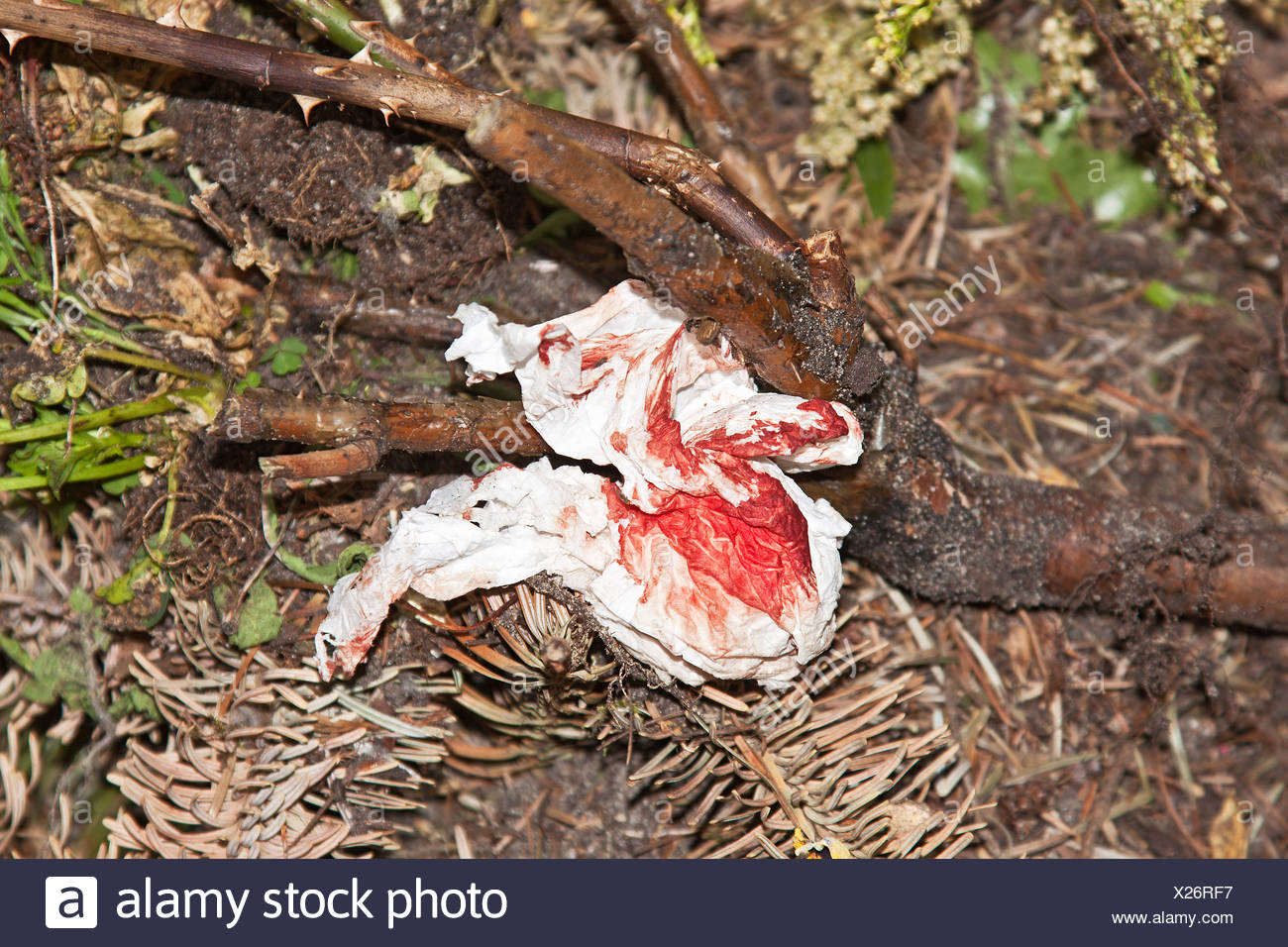 Blood Soaked Paper Tissue Lying On Branches Injury Bodily Harm
