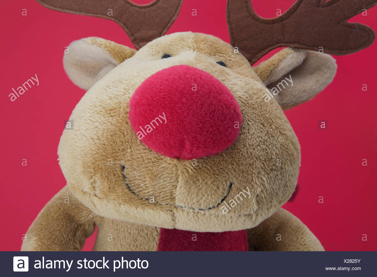 rudolph teddy