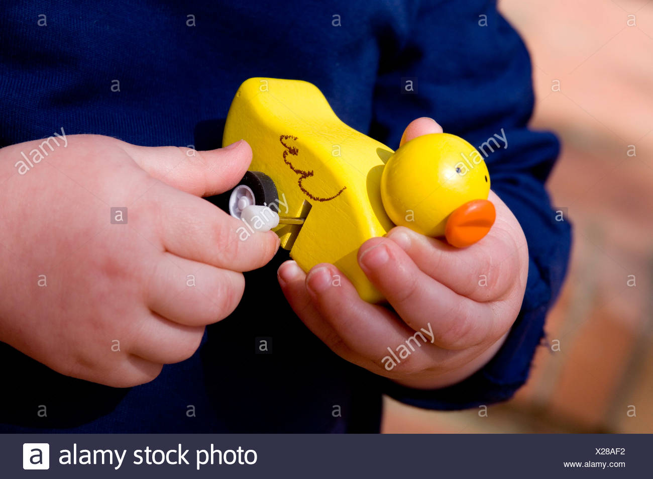 wind up duck toy