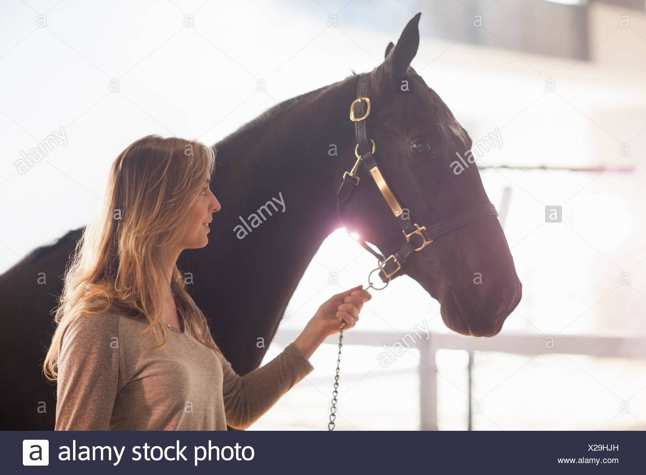 Woman Leading Horse Farm High Resolution Stock Photography and Images