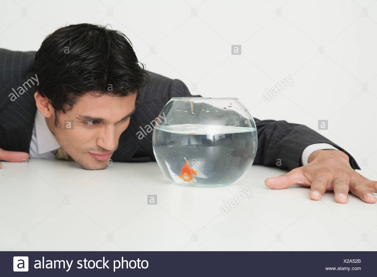 Man Fishbowl Head High Resolution Stock Photography and Images Alamy
