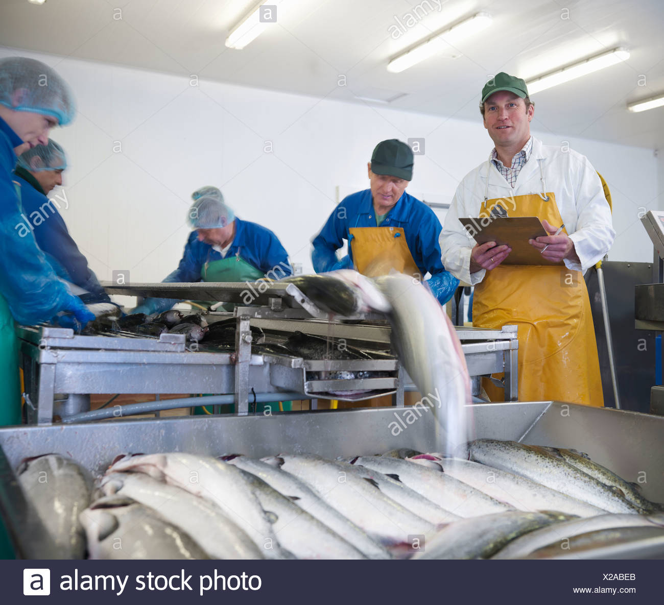 Workers in fish processing plant Stock Photo 276823747