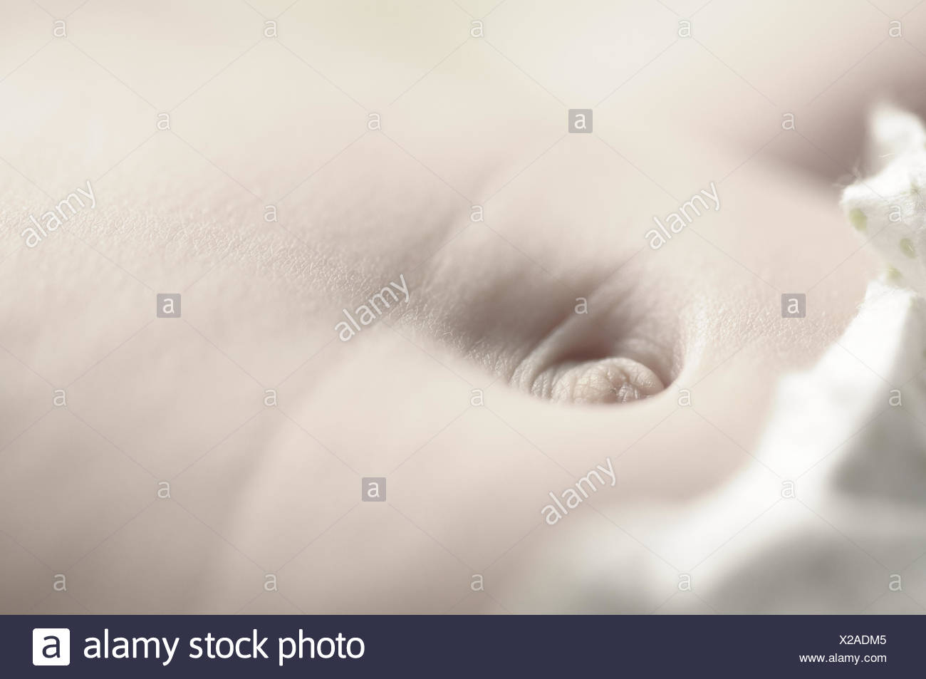 Bellybutton Close Up High Resolution Stock Photography And Images Alamy