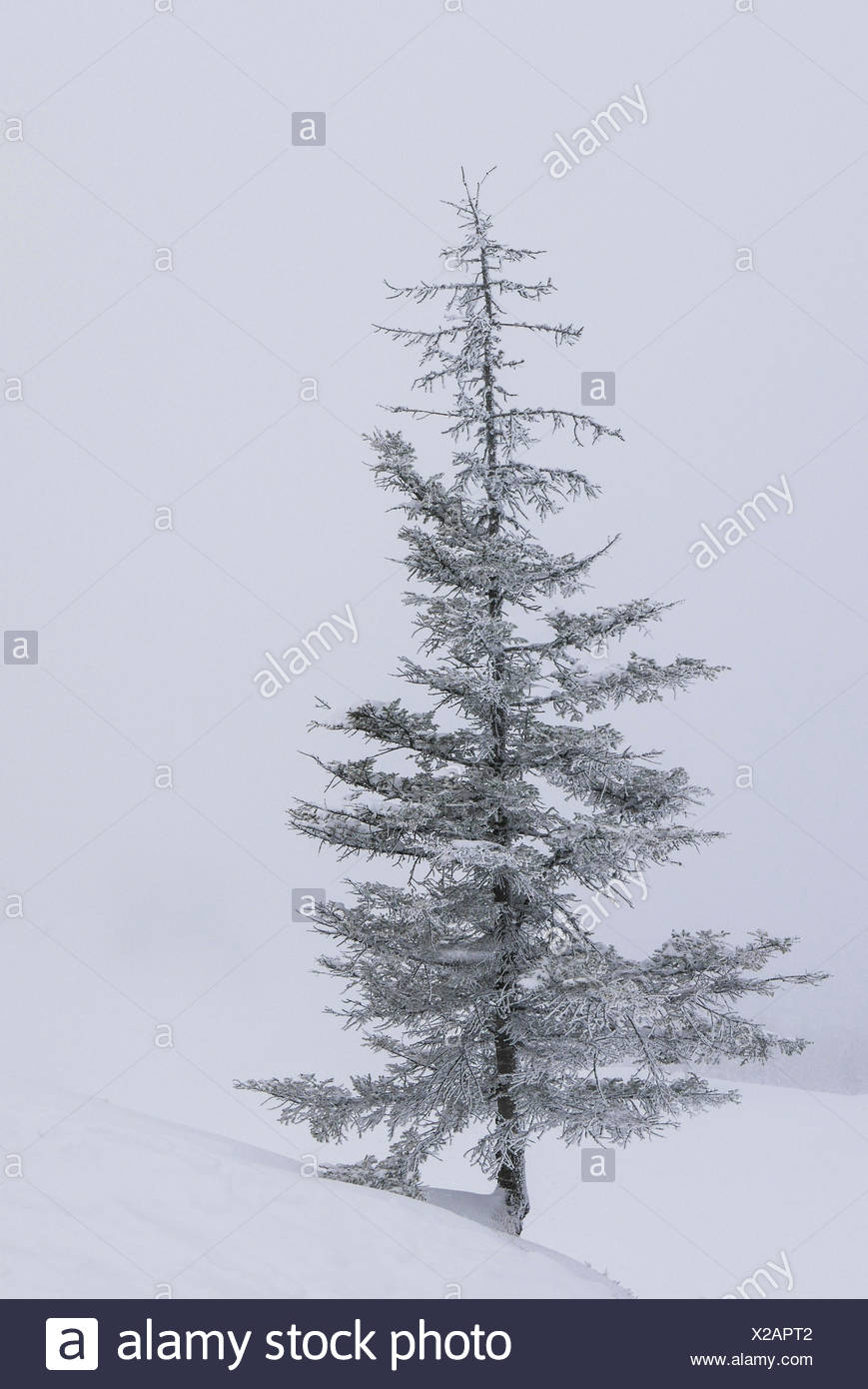 Foggy Cloudily Stock Photos Foggy Cloudily Stock Images Alamy