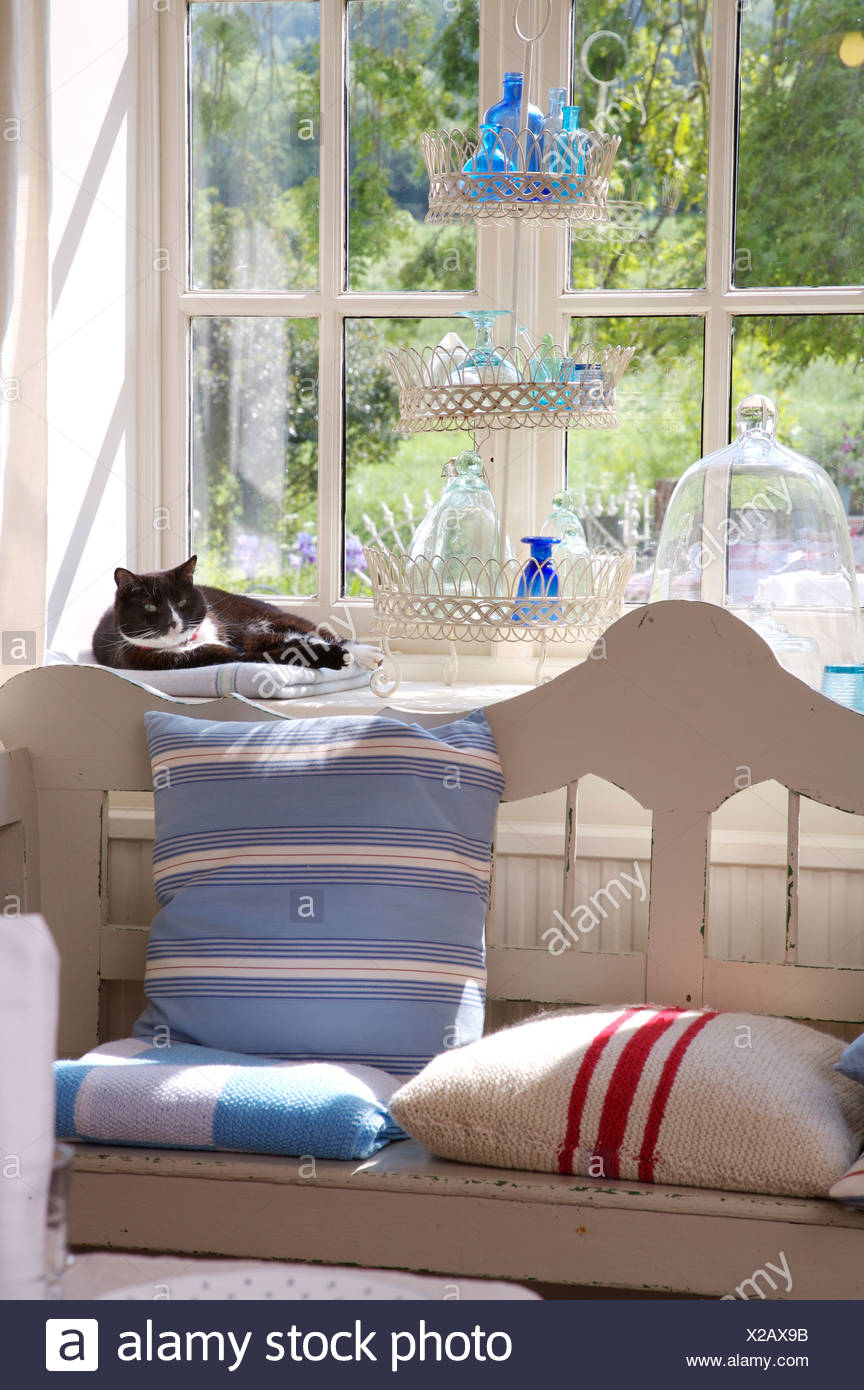 Cat Lying On Windowsill Above Painted Wooden Settle With Blue